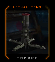 Lethal Items